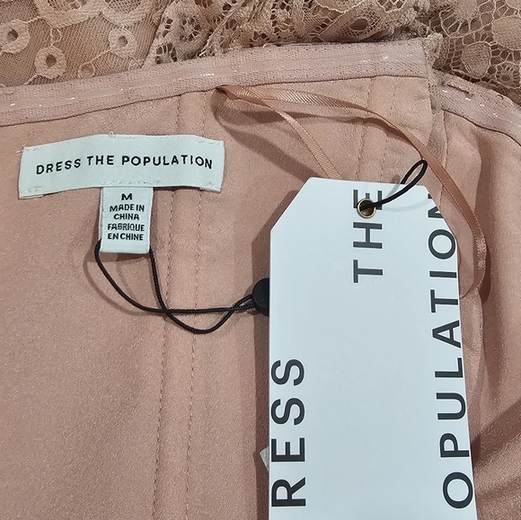 Dress The Population Blush Pink Lace Eyelets Tiered Short Sleeves Midi Dress - Picture 9 of 10